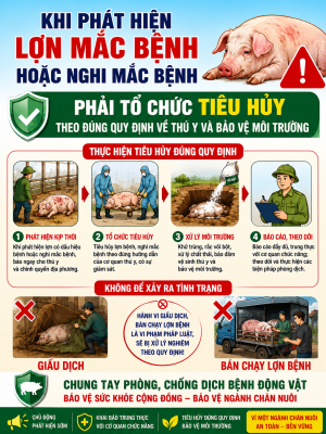 TUYÊN TRUYỀN: CÁC BIỆN PHÁP PHÒNG, CHỐNG BỆNH DỊCH TẢ LỢN CHÂU PHI