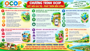 TUYÊN TRUYỀN: TRIỂN KHAI THỰC HIỆN CHƯƠNG TRÌNH “MỖI XÃ MỘT SẢN PHẨM TRÊN ĐỊA BÀN THÀNH PHỐ ĐỒNG NAI GIAI ĐOẠN 2026 - 2030”