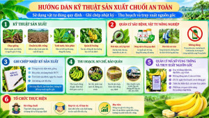 Tuyên truyền: Hướng dẫn kỹ thuật sản xuất chuối an toàn, sử dụng vật tư nông nghiệp đúng quy định, ghi chép nhật ký sản xuất, sử dụng thuốc bảo vệ thực vật, thu hoạch và truy xuất nguồn gốc sản phẩm