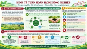 TUYÊN TRUYỀN VỀ: KINH TẾ TUẦN HOÀN TRONG NÔNG NGHIỆP