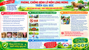 TUYÊN TRUYỀN: PHÒNG, CHỐNG BỆNH LỞ MỒM LONG MÓNG TRÊN GIA SÚC