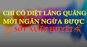 Quyết liệt ngăn chặn, đẩy lùi dịch SỐT XUẤT HUYẾT.