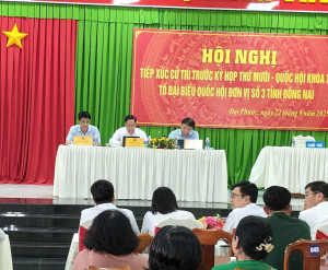 Hội nghị tiếp xúc cử tri trước kỳ họp thứ Mười - Quốc hội khóa XV
