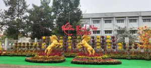 Xã Đại Phước hoàn tất công tác Trang trí các tiểu cảnh chào mừng Xuân Bính Ngọ 2026 tại khu Trung tâm hành chính.