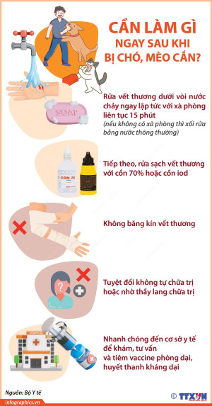 Tuyên truyền phòng chống Bệnh dại, Quản lý chó mèo trên địa bàn.