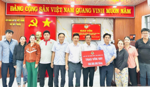 Hướng tới Đại hội đại biểu toàn quốc Hội Nông dân Việt Nam  lần thứ IX, nhiệm kỳ 2026 - 2031