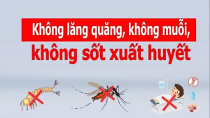 Đại Phước chủ động tăng cường phòng, chống sốt xuất huyết và tay chân miệng