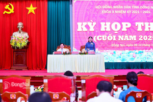 Đại biểu HĐND tỉnh Đồng Nai thảo luận sôi nổi tại hội trường