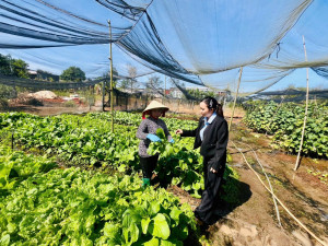 Gương hội viên phụ nữ tiêu biểu trong phát triển kinh tế