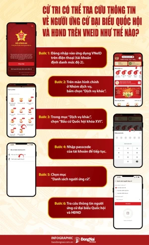 [Infographic] Cử tri có thể tra cứu thông tin về người ứng cử đại biểu Quốc hội và HĐND trên VNeID như thế nào?