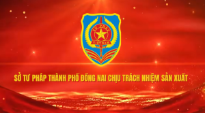 Phòng chống bạo lực gia đình, bình đẳng giới