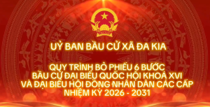 Quy trình 6 bước bầu cử đại biểu Quốc hội và Hội đồng nhân dân các cấp nhiệm kỳ 2026 - 2031