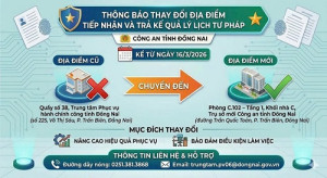 Bài viết 32