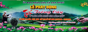UBND xã Đak Nhau tổ chức Lễ phát động “Tết trồng cây đời đời nhớ ơn Bác Hồ"