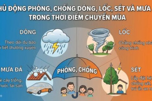 Cấp thẻ căn cước và tài khoản định danh điện tử mức độ 2 cho công dân từ 6 đến 14 tuổi