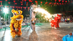 Một tiết mục múa Lân tại trong đêm khai mạc Hội hoa Xuân Ất Tỵ năm 2025 (ảnh minh họa)