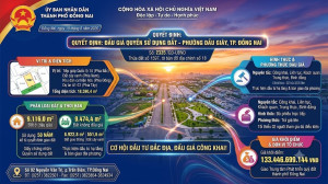 đấu giá quyền sử dụng đất vào 19/08/2026