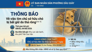 Thông báo số 4780/TB-UBND: Về việc tìm chủ sở hữu chó bị bắt...