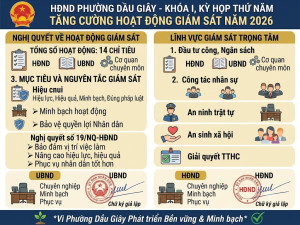 Công bố các Nghị quyết chuyên đề về Giám sát, Pháp chế và Dân chủ cơ sở tại phường Dầu Giây