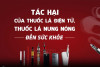 TÁC HẠI CỦA THUỐC LÁ ĐIỆN TỬ, THUỐC LÁ NUNG NÓNG