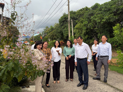 Đoàn công tác Văn phòng Điều phối Trung ương Chương trình mục tiêu quốc gia tham quan mô hình tuyến đường kiểu mẫu