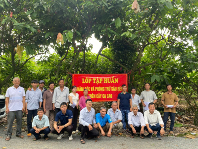 TẬP HUẤN KỸ THUẬT CHĂM SÓC, PHÒNG TRỪ SÂU BỆNH TRÊN CÂY CA...