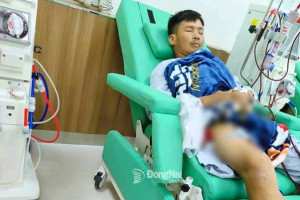 Lời cầu khẩn trước thềm năm mới