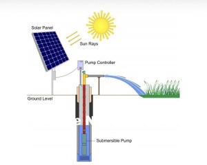 Mô hình tưới sầu riêng bằng năng lượng mặt trời: Hiệu quả kép tại phường Đồng Phú.