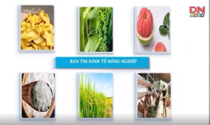 Bản tin Kinh tế nông nghiệp