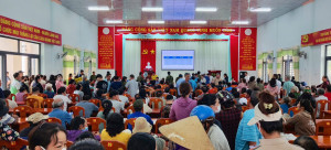 hình nq4