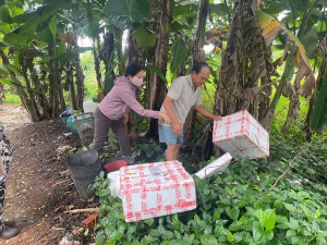 Đồng Tâm tổ chức Lễ ra quân chiến dịch diệt lăng quăng phòng chống sốt xuất huyết.