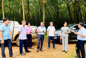 Đồng Tâm: Làm việc với lãnh đạo Tỉnh ủy về tiến độ giải phóng mặt bằng dự án cao tốc Bắc – Nam phía Tây