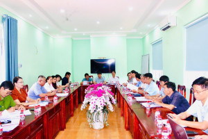 họp btc