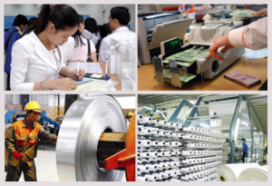 Đồng Tâm triển khai Tổng điều tra kinh tế năm 2026