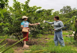Kiểm tra, giám sát hoạt động tín dụng chính sách tại xã Đồng Tâm