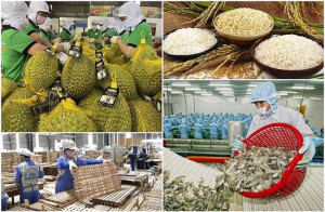 Xã Đồng Tâm triển khai kế hoạch bảo đảm an toàn thực phẩm nông, lâm, thủy sản năm 2026