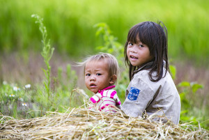 Xã Đồng Tâm triển khai kế hoạch chăm sóc sức khỏe tâm thần trẻ em, chăm sóc trẻ em mồ côi năm 2026