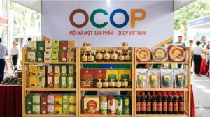 Xã Đồng Tâm triển khai Chương trình mỗi xã một sản phẩm OCOP năm 2026
