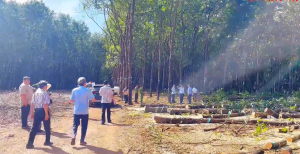 ĐỒNG TÂM PHÁT ĐỘNG ĐẨY NHANH TIẾN ĐỘ GIẢI PHÓNG MẶT BẰNG ĐƯỜNG CAO TỐC BẮC - NAM PHÍA TÂY ĐOẠN GIA NGHĨA (LÂM ĐỒNG) – CHƠN THÀNH (ĐỒNG NAI)