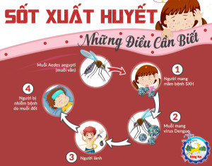 Sốt xuất huyết: Đừng để nhập viện - Vì quên phòng bệnh