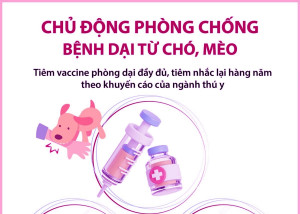 CHỦ ĐỘNG PHÒNG, CHỐNG BỆNH DẠI Ở CHÓ, MÈO - BẢO VỆ SỨC KHỎE CỘNG ĐỒNG
