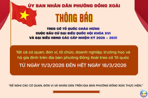 treo co TQ bầu cử