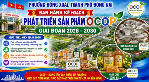 Phường Đồng Xoài ban hành Kế hoạch phát triển sản phẩm OCOP giai đoạn 2026 - 2030: Khơi dậy tiềm năng địa phương, nâng tầm giá trị nông sản