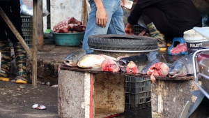 Phường Đồng Xoài chủ động bảo đảm an toàn thực phẩm trong mùa hè  và mùa mưa bão