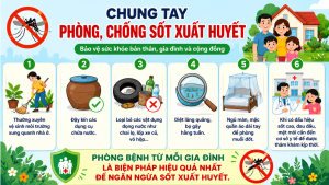 Đồng Xoài triển khai nhiều hoạt động hưởng ứng Ngày ASEAN phòng, chống sốt xuất huyết và Ngày Vệ sinh yêu nước nâng cao sức khỏe Nhân dân năm 2026