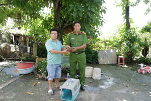 Phường Đồng Xoài bàn giao cá thể rùa núi vàng quý hiếm cho Vườn Quốc gia Bù Gia Mập cứu hộ, tái thả về tự nhiên