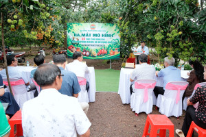 Phường Đồng Xoài ra mắt mô hình 45 phút cùng nông dân “Lắng nghe nông dân nói, nói điều nông dân cần”