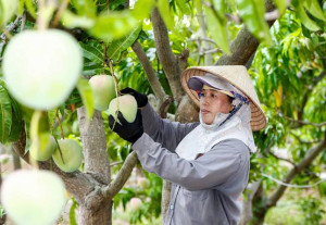 Phường Đồng Xoài triển khai nâng cao hiệu quả tín dụng chính sách xã hội trong giai đoạn mới