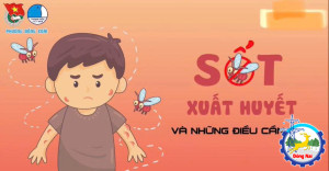 Tuổi trẻ phường Đồng Xoài xung kích tuyên truyền phòng, chống sốt xuất huyết