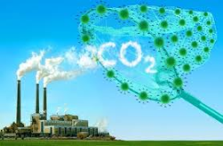Công nghệ biến CO₂ từ khí thải thành vật liệu hữu ích